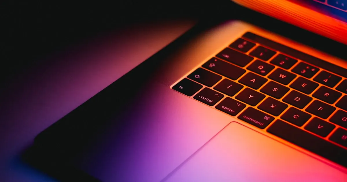 digitale levering licentie: uitleg en handleiding van Liceon